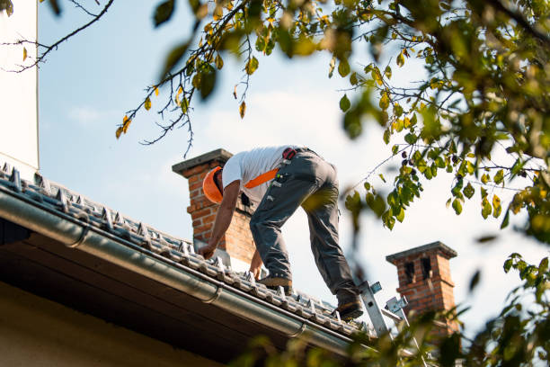 Best Roof Gutter Cleaning  in Terrytown, LA